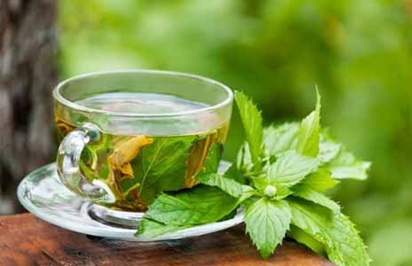Dieta del t verde adelgazar