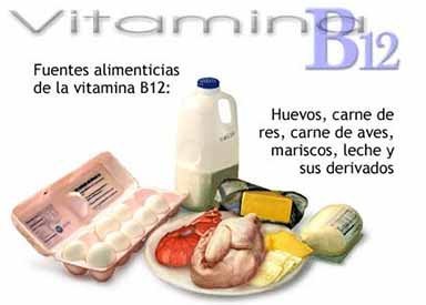 Alimentos ricos con vitamina B12